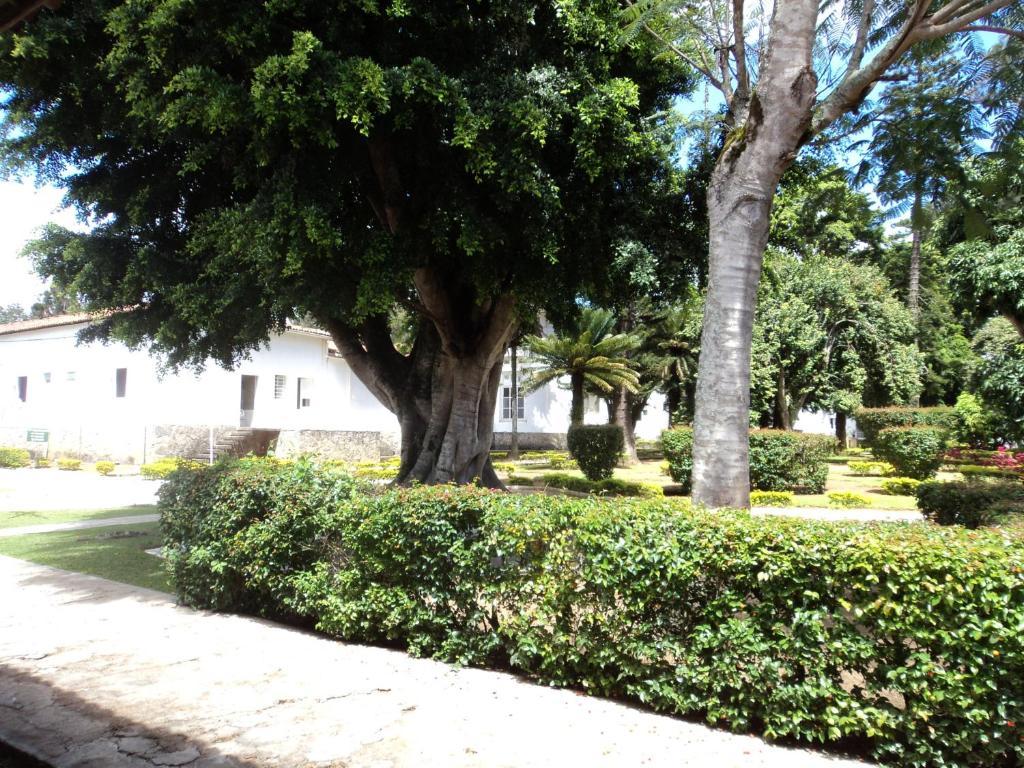 Hotel Tavares Correia Garanhuns Zimmer foto